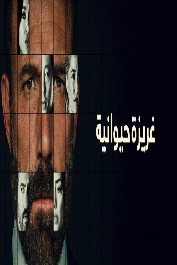 فيلم Animals 2026 مترجم